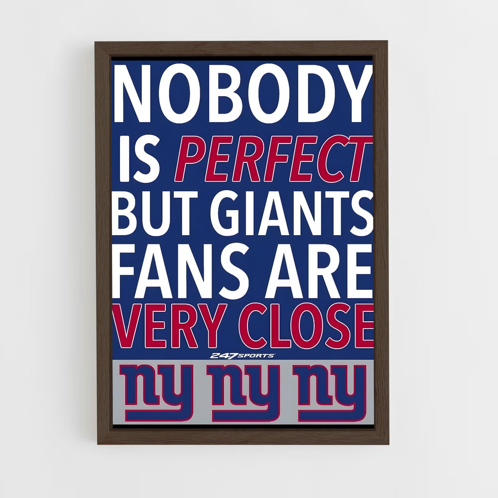 Poster Fans Almost Perfect (vue 5)